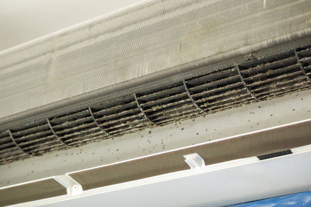 Best HVAC Duct Inspection Services  in Cleveland, MS