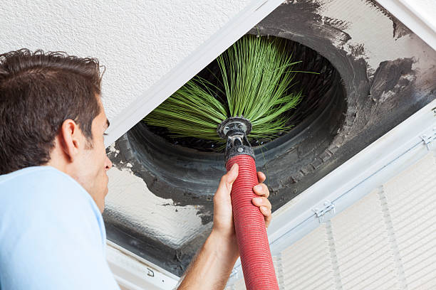 Best Local Air Duct Cleaning Services  in Cleveland, MS
